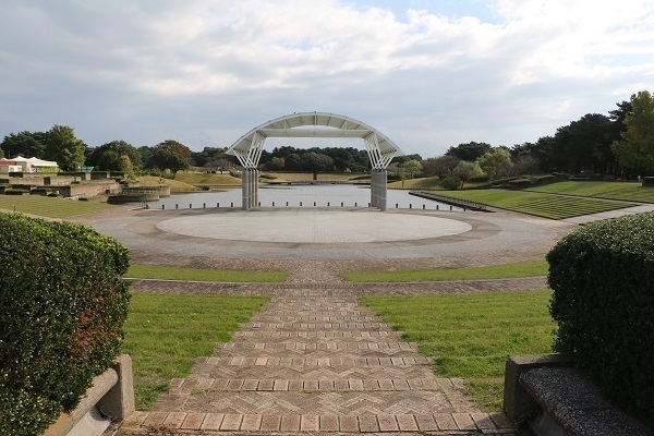 ひたち海浜公園のコキア1.jpg