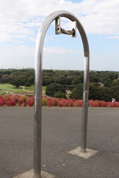ひたち海浜公園のコキア17.jpg