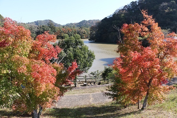 亀山湖と深溝の滝1.jpg