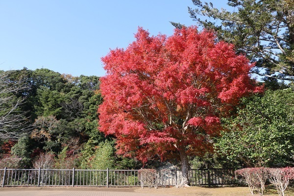 亀山湖と深溝の滝11.jpg