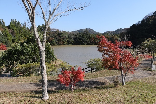 亀山湖と深溝の滝2.jpg