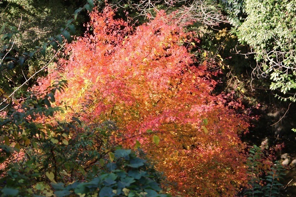 亀山湖と深溝の滝24-1.jpg