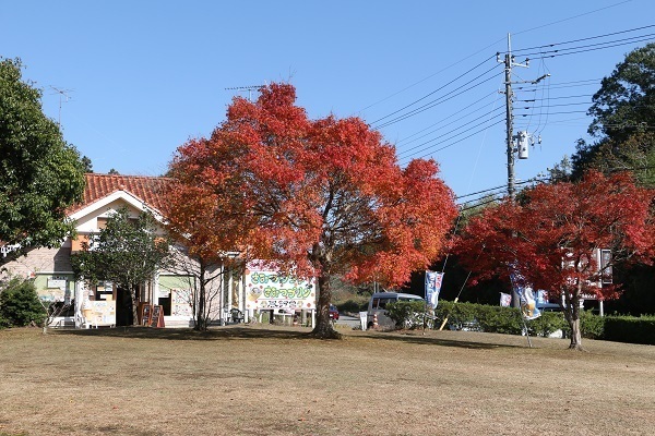 亀山湖と深溝の滝25.jpg