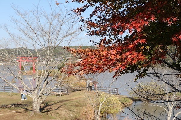 亀山湖と深溝の滝6-2.jpg