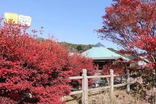 亀山湖と深溝の滝7-1.jpg