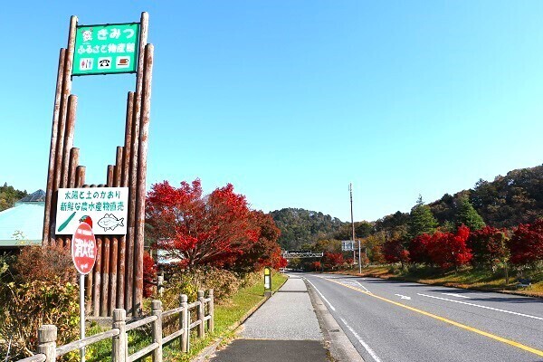 亀山湖と深溝の滝7.jpg