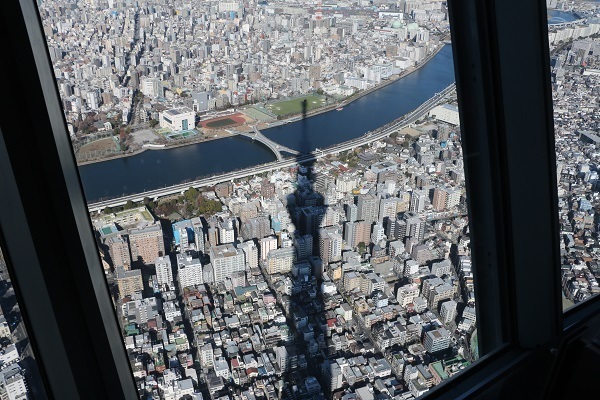 元旦のスカイツリー10.jpg