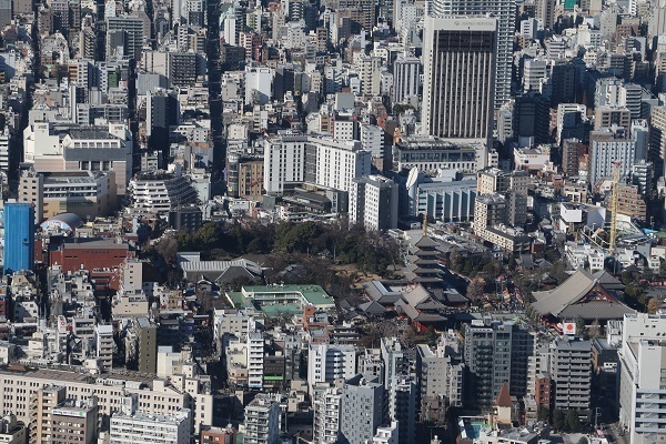 元旦のスカイツリー7.jpg