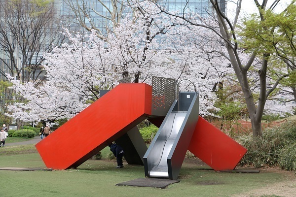 六本木の桜26.jpg