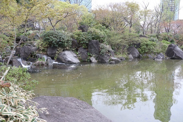 六本木の桜28.jpg