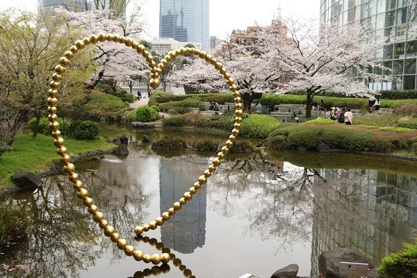 六本木の桜7.jpg