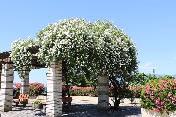 函館元町巡り6.jpg