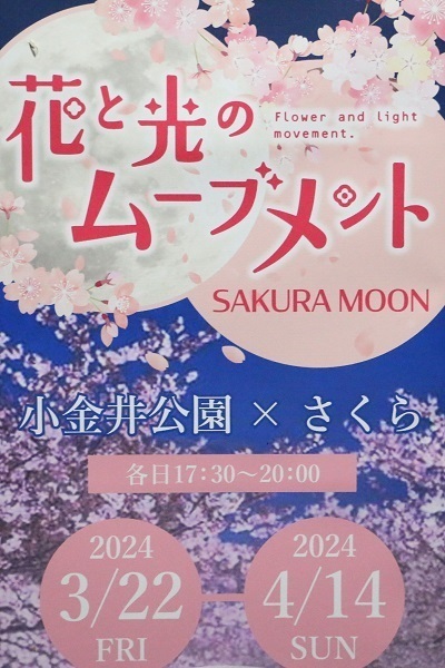 小金井公園花と光のムーブメント1.jpg