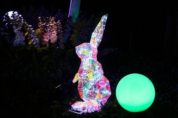 小金井公園花と光のムーブメント11.jpg