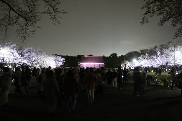 小金井公園花と光のムーブメント15.jpg