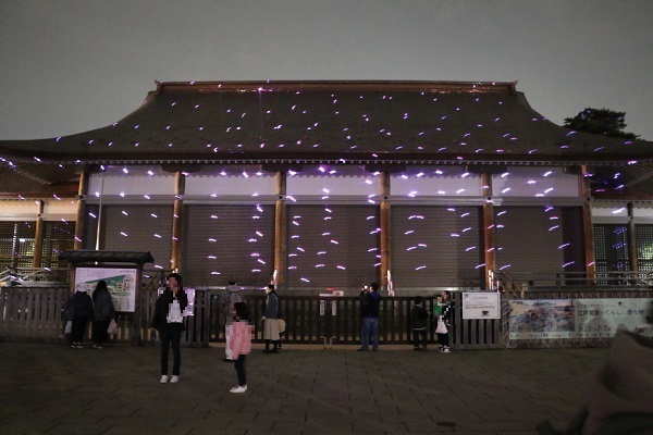 小金井公園花と光のムーブメント18.jpg