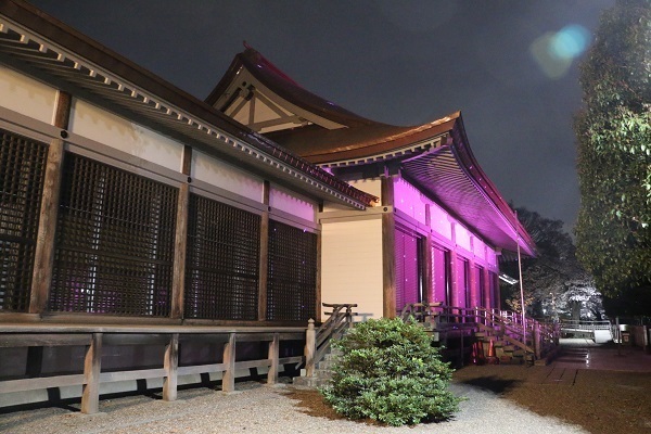 小金井公園花と光のムーブメント24.jpg