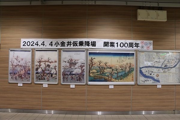 小金井公園花と光のムーブメント28.jpg
