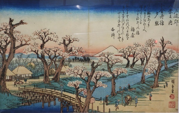 小金井公園花と光のムーブメント29.jpg