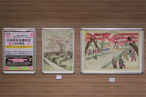 小金井公園花と光のムーブメント30.jpg