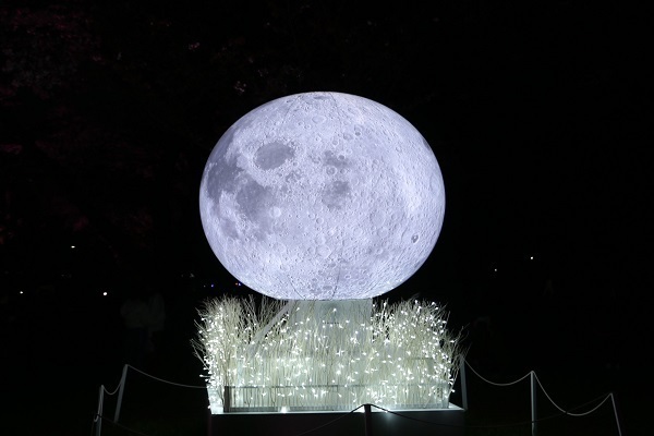 小金井公園花と光のムーブメント6.jpg