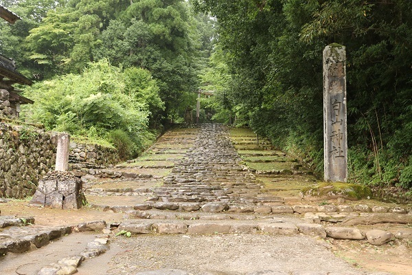 平泉寺白山神社1.jpg