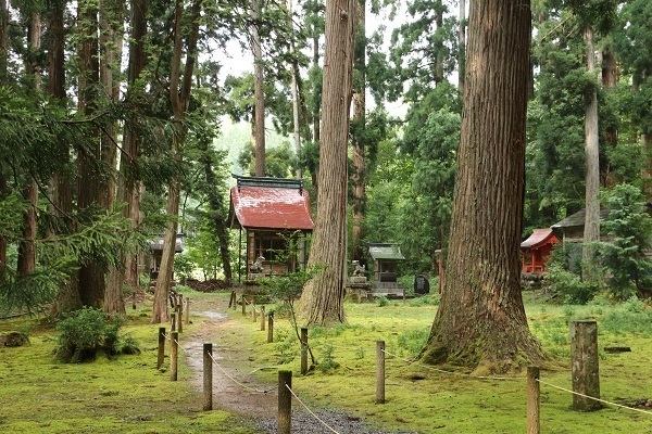 平泉寺白山神社11.jpg