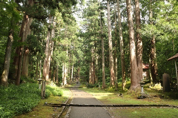 平泉寺白山神社4.jpg