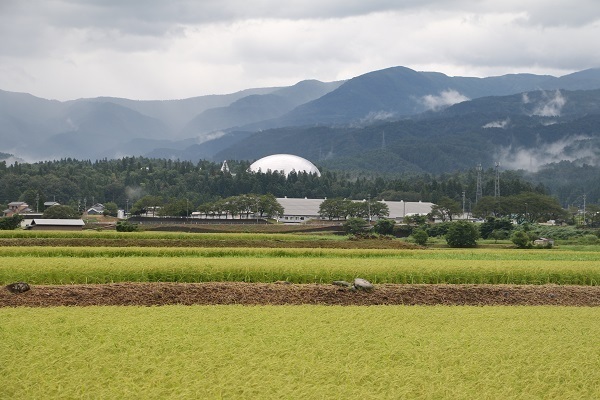 恐竜博物館と平泉寺白山神社1.jpg