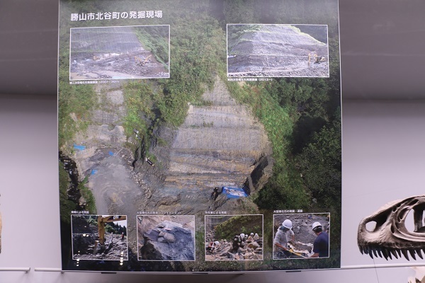 恐竜博物館と平泉寺白山神社19.jpg
