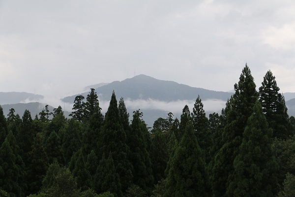 恐竜博物館と平泉寺白山神社21.jpg