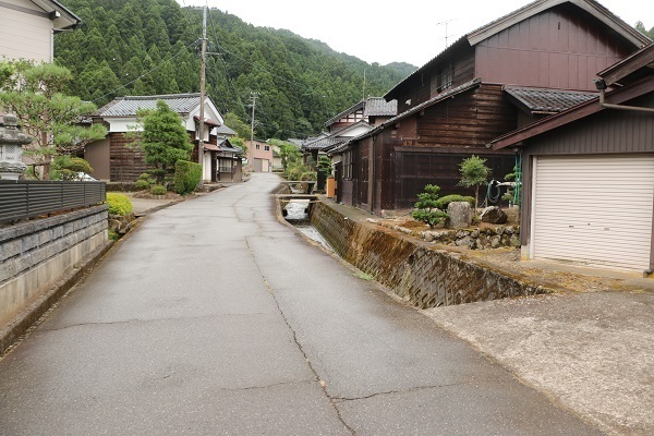明智神社と越前大野城1.jpg
