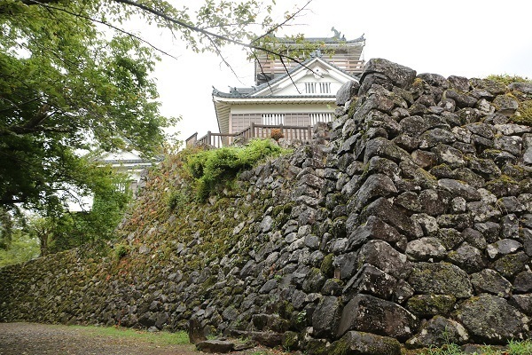 明智神社と越前大野城11.jpg