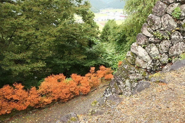 明智神社と越前大野城15.jpg