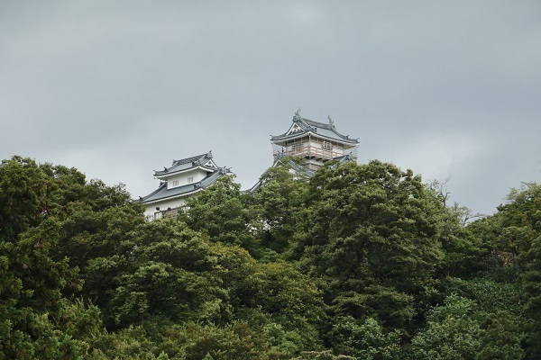 明智神社と越前大野城20.jpg