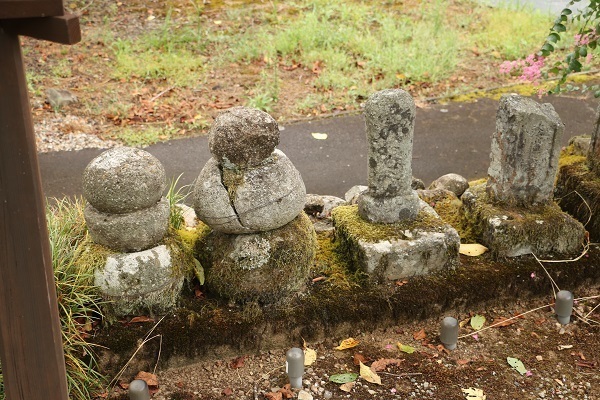 明智神社と越前大野城4.jpg