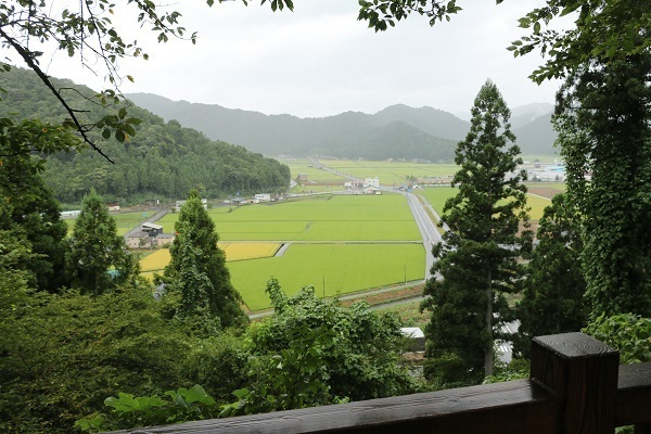 明智神社と越前大野城8.jpg