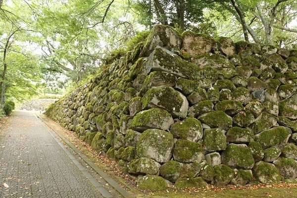 明智神社と越前大野城9.jpg