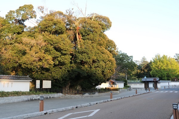 水戸城と弘道館11.jpg