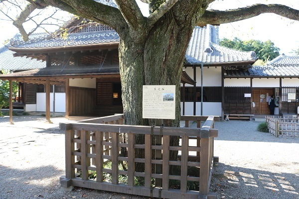 水戸城と弘道館18.jpg