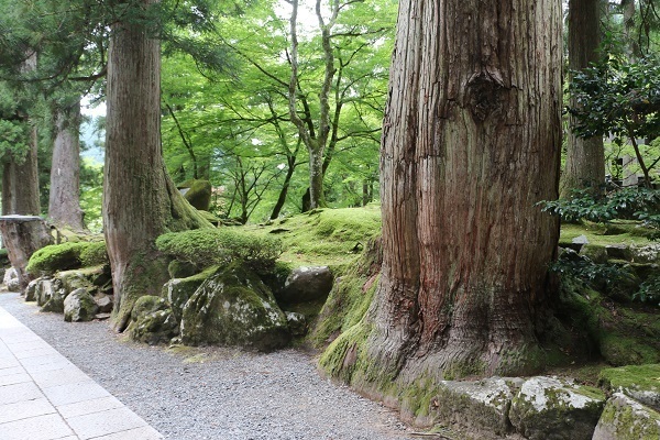 永平寺2-2.jpg
