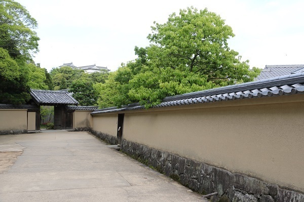 考古園と姫路城ライトアップ11.jpg