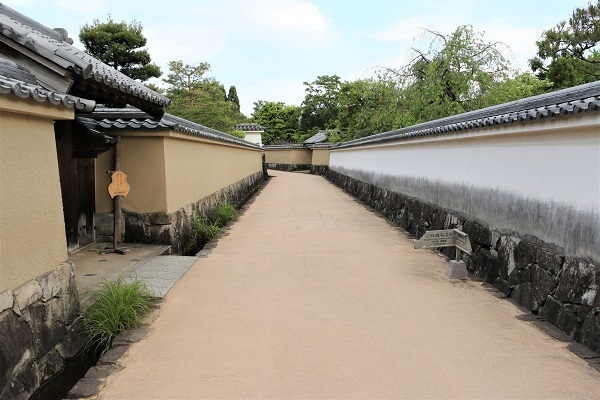 考古園と姫路城ライトアップ12.jpg