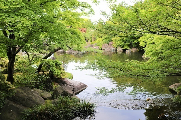 考古園と姫路城ライトアップ5.jpg