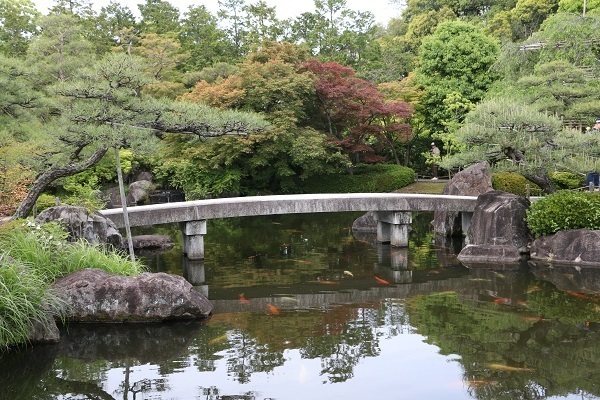 考古園と姫路城ライトアップ6.jpg