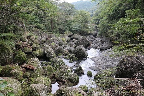 袋田の滝と竜神大吊橋14.jpg