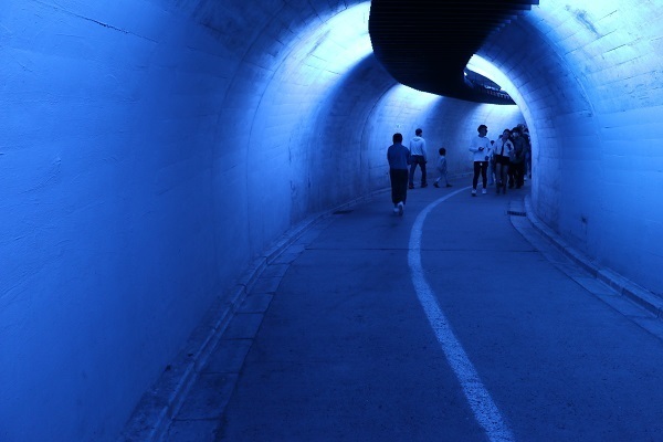 袋田の滝と竜神大吊橋3.jpg