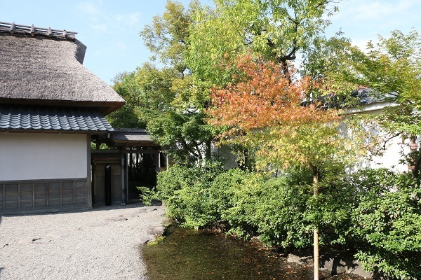 養浩館庭園11.jpg