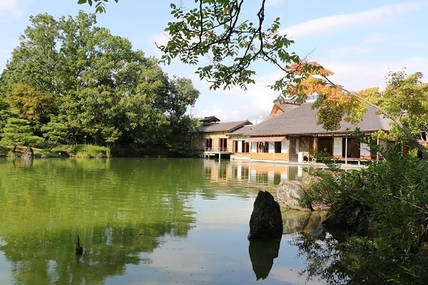 養浩館庭園14.jpg