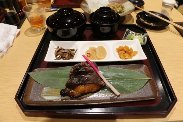 養浩館庭園26.jpg